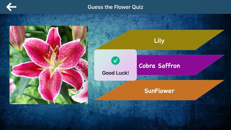 Guess the Flower Quiz screenshot-4