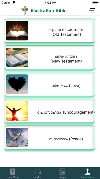 Malayalam Audio Holy Bible screenshot-4