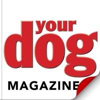 Your Dog pour PC