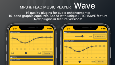 Wave - MP3 & FLAC Music Player screenshot 4