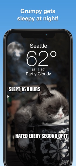 Grumpy Cat's Funny Weather(圖4)-速報App