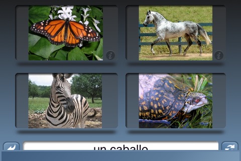 NounStar Language Study Mobile screenshot 4