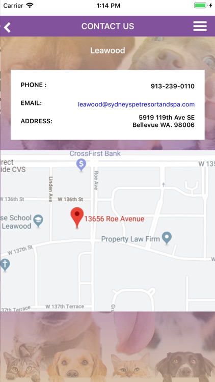 Sydney's Pet Resort and Spa screenshot-6