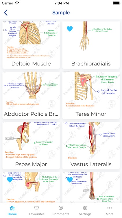 Musculi App screenshot-3