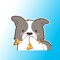 我是一米粒儿，可爱又萌的小萌犬。我有很多丰富的表情哦，大家可以在应用中分享，也可以在iMessage中发送哦。