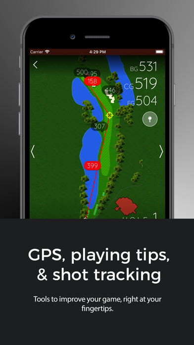 Shadow Hawk Golf Club screenshot 3