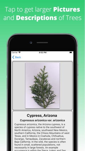 Tree Dictionary(圖2)-速報App