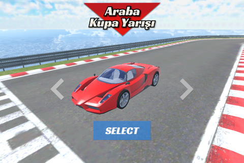 Car Racing Cup 3D screenshot 2