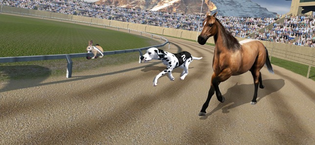 Crazy Dog Racing(圖5)-速報App