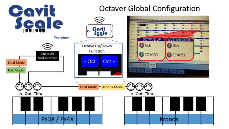 Cavit Scale 4CP screenshot-3