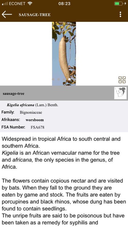 Key to Trees - Southern Africa