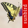 Get Schmetterling Id - Tagfalter for iOS, iPhone, iPad Aso Report