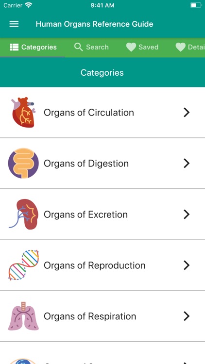 Human Organs Anatomy Reference