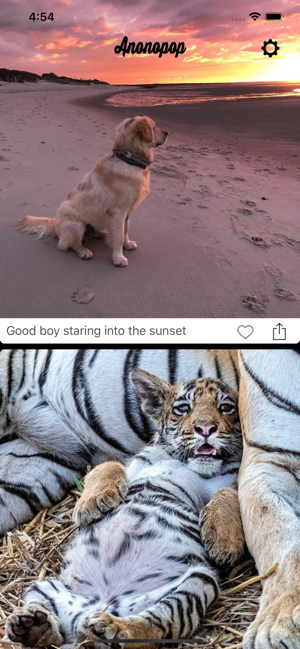 Anonopop: Aww Cute Pet Photos(圖2)-速報App