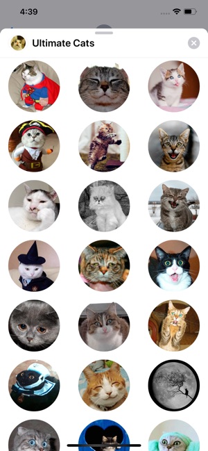 Ultimate Cats Sticker Pack(圖6)-速報App