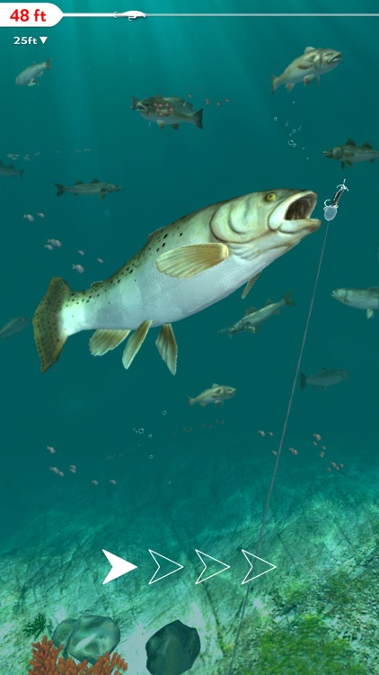 Rapala Fishing - Daily Catch screenshot-8