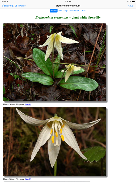British Columbia Wildflowers screenshot 3