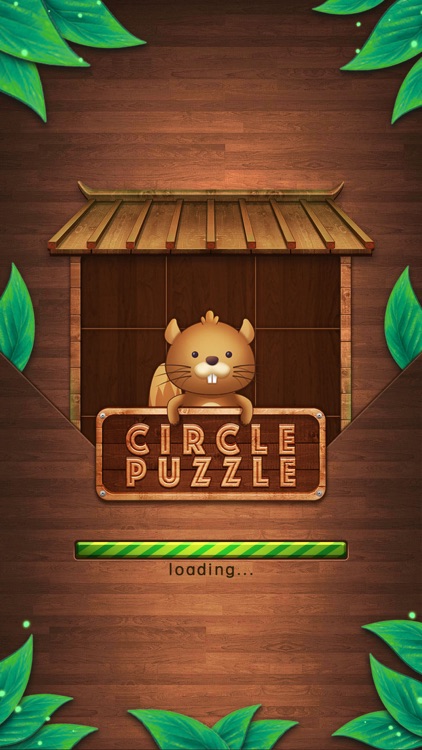 Circles Puzzle Game