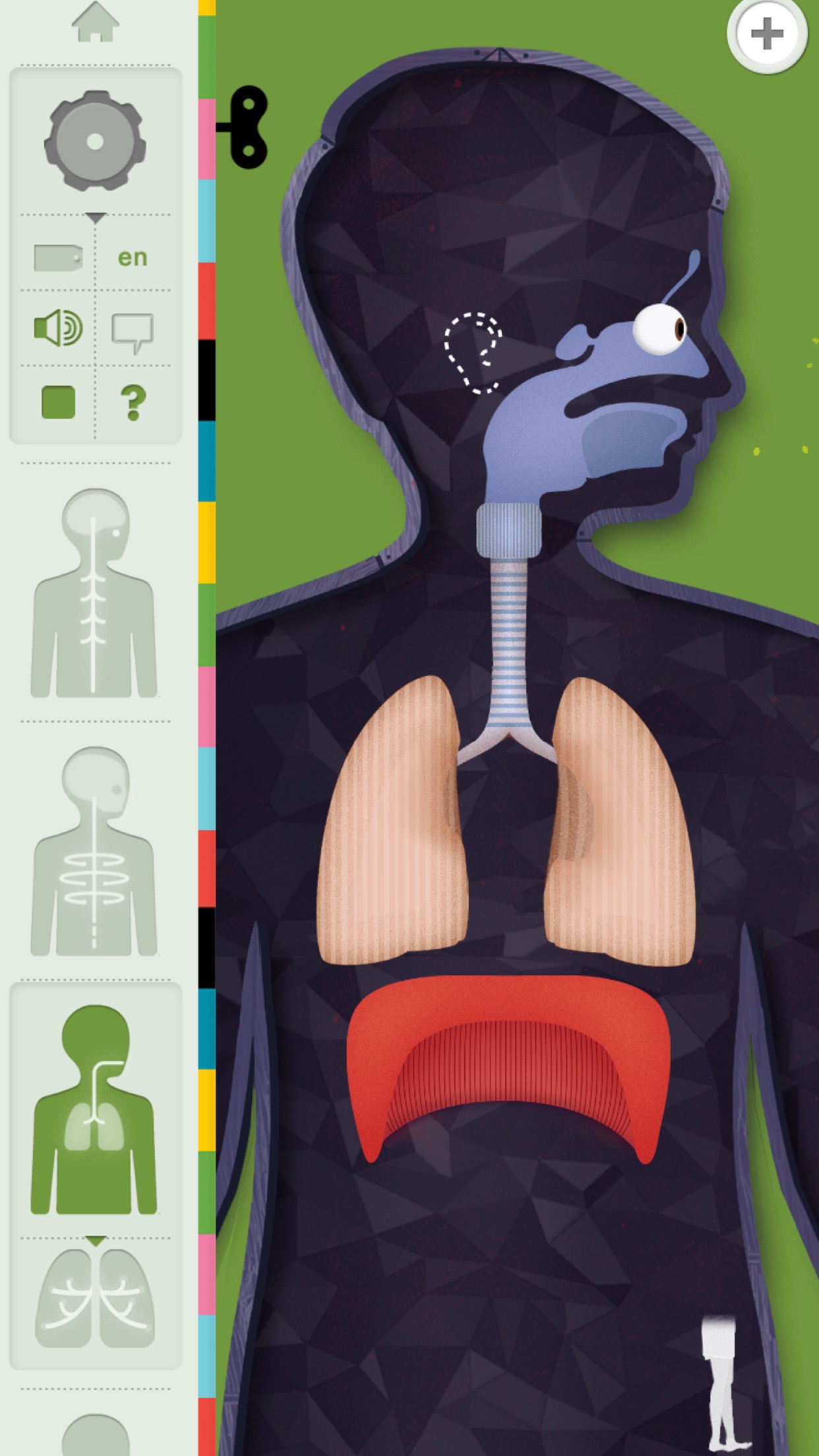 Screenshot do app O Corpo Humano por Tinybop