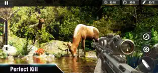 Screenshot 3 Safari Arena: Francotirador 3D iphone