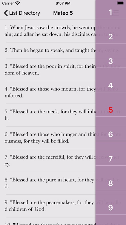 NRSV Bible Books & Audio screenshot-3