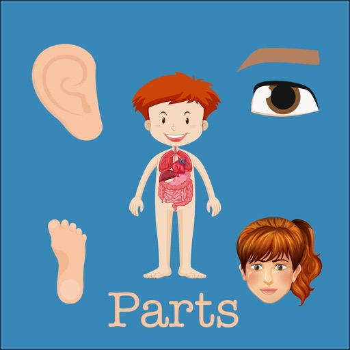 Body Parts - learn body