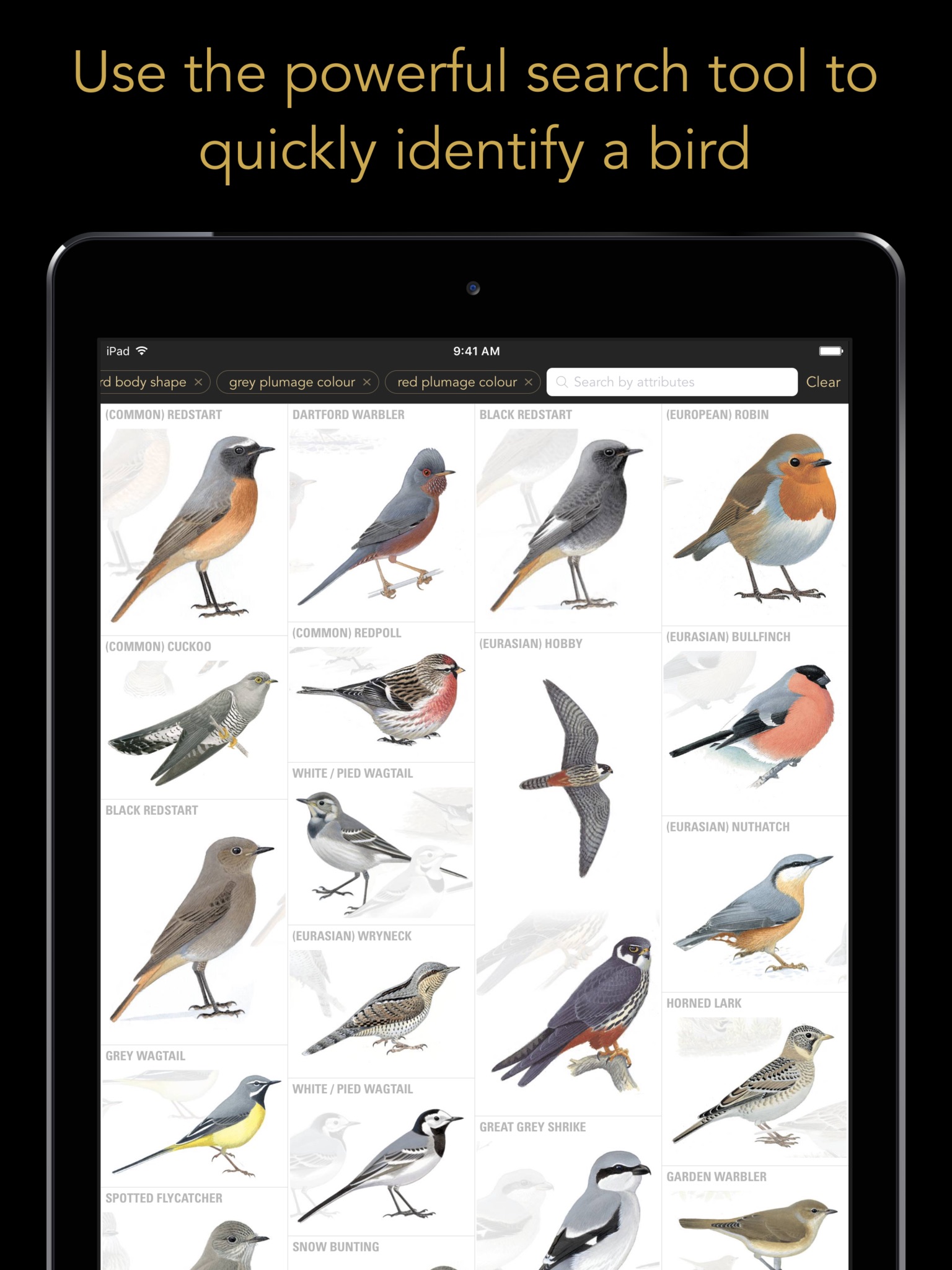 Collins British Bird Guide screenshot 3