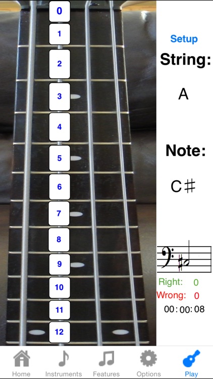 Bass Fretboard Addict