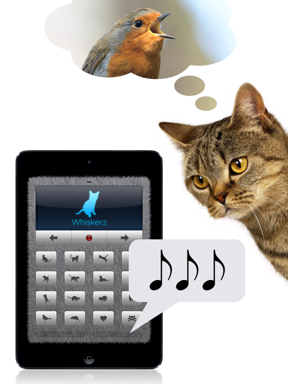 Human-to-Cat Translator screenshot