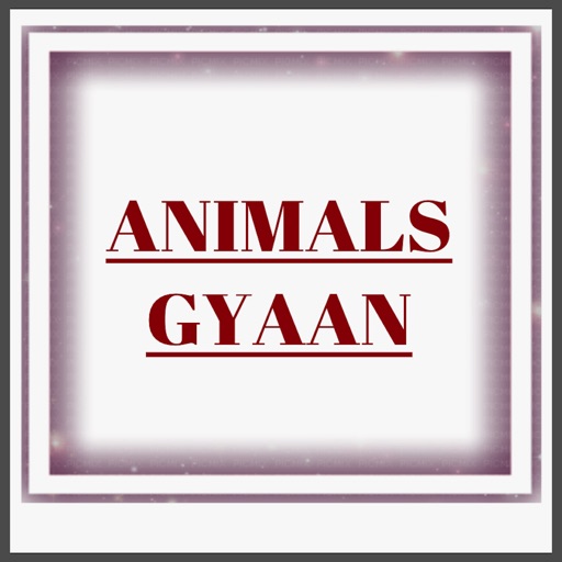 Animals Gyaan