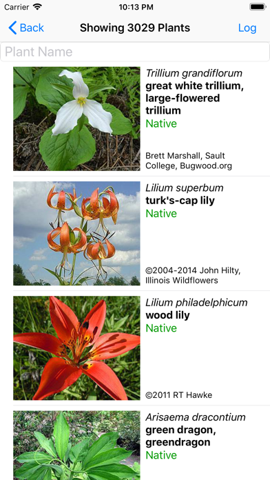 How to cancel & delete New York Wildflowers from iphone & ipad 2