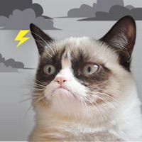 Grumpy Cat's Funny Weather app not working? crashes or has problems?