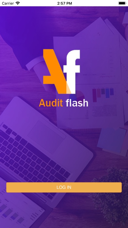 Audit Flash