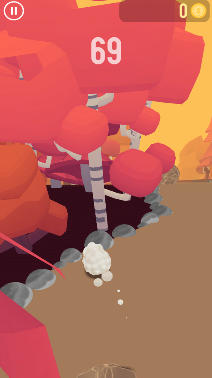 Road Animal Running.