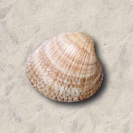 ZenShell