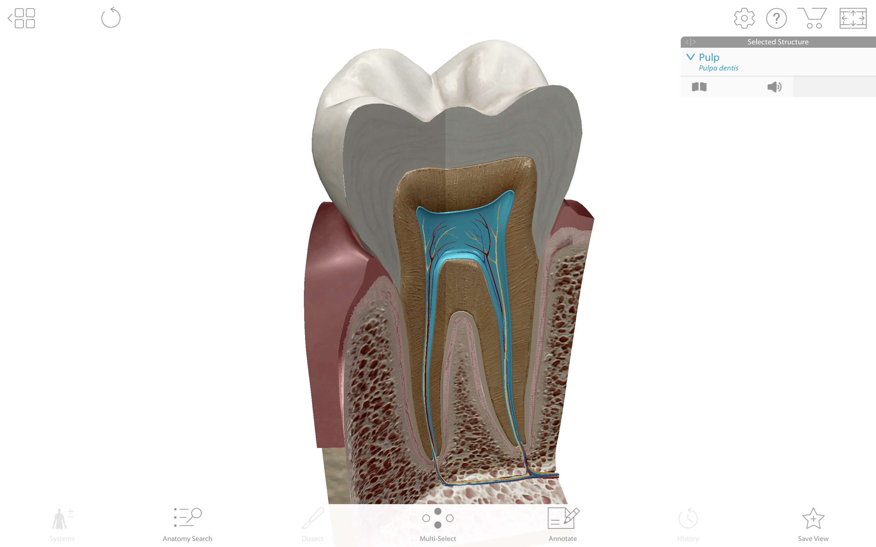 Screenshot do app Human Anatomy Atlas 2019