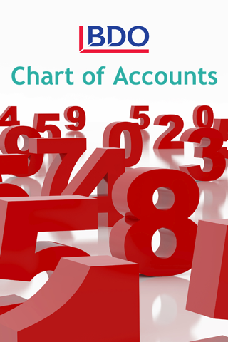 Belgian Chart of Accounts - náhled