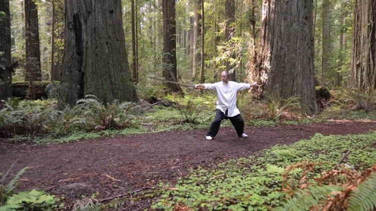 Tai Chi Sword for Beginners screenshot-4