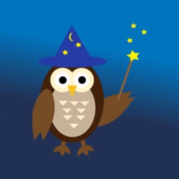 Magic Wizard Owl