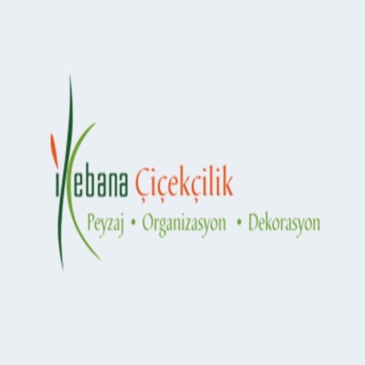 İkebana Çiçek