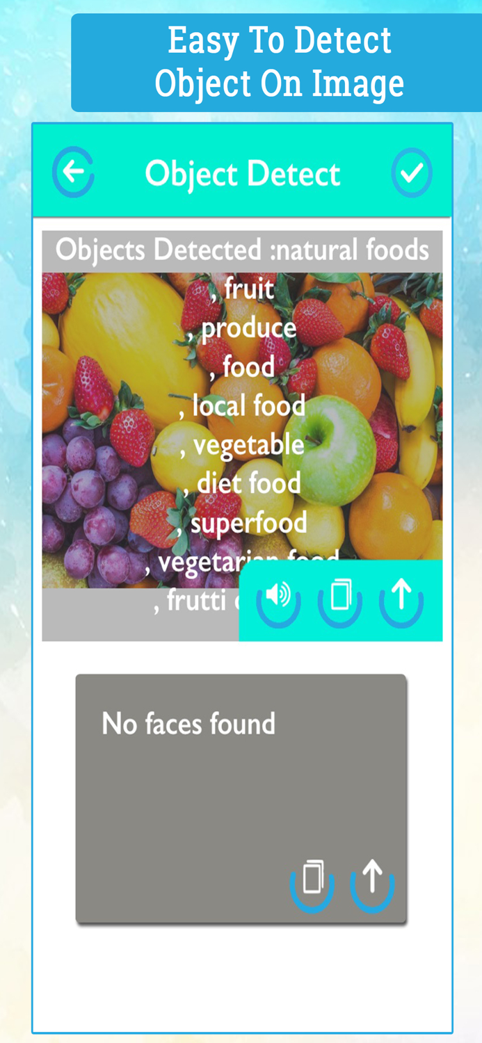Object and Text Detection