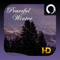 Peaceful Winter HD pour PC