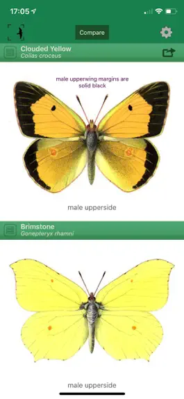 Game screenshot British & Irish Butterflies apk