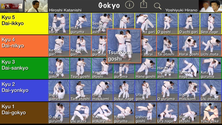 Judo Gokyo