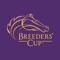 The Official App of the 2019 Breeders’ Cup World Championships at Santa Anita Park