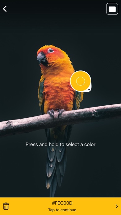 采色-设计师配色必备取色器 screenshot 4