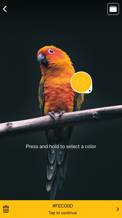 HuntColor: Discover colors screenshot-3