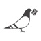 Paperless Post has beautiful invitations and flyers for every occasion