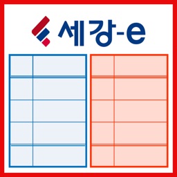 세강-e