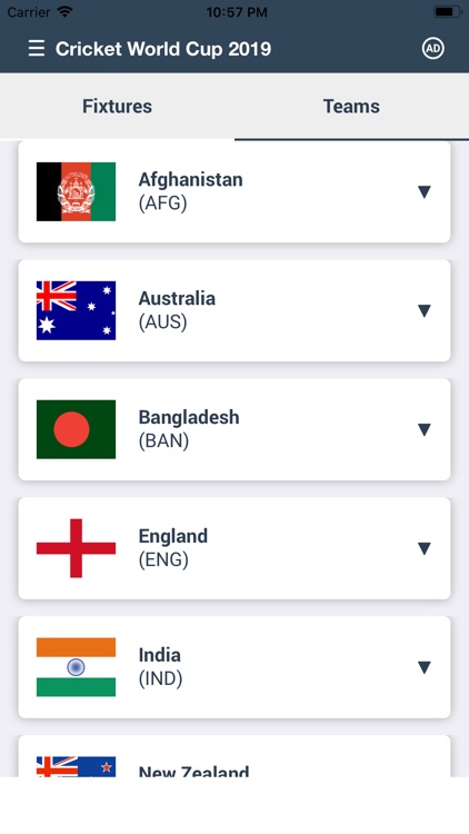 Live Cricket Score Line